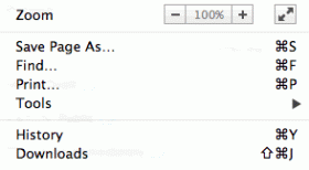 Chrome Zoom Options