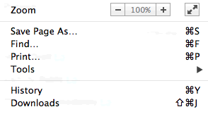 Chrome Zoom Options