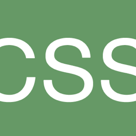 CSS lgo