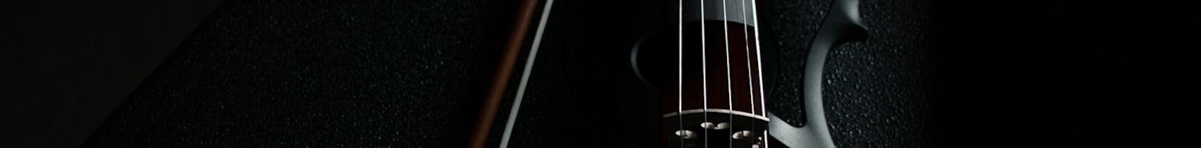 Black violin
